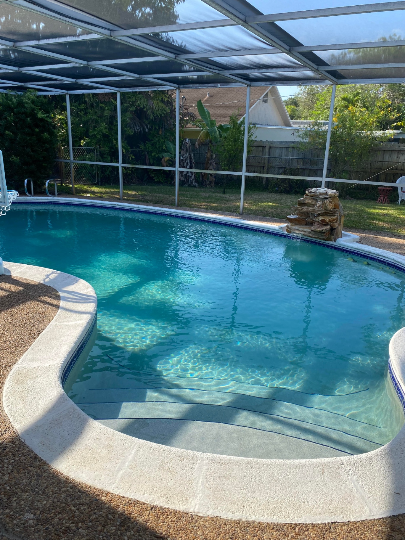 Crystal-clear screened-in backyard pool after Collegiate Pools service in Florida