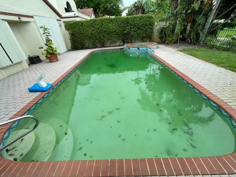 From Green to Clean Pool Transformation