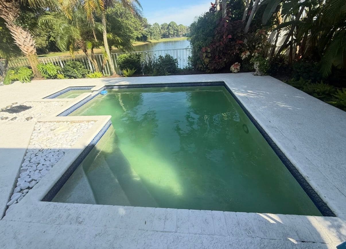 Backyard Pool Transformation for Summer