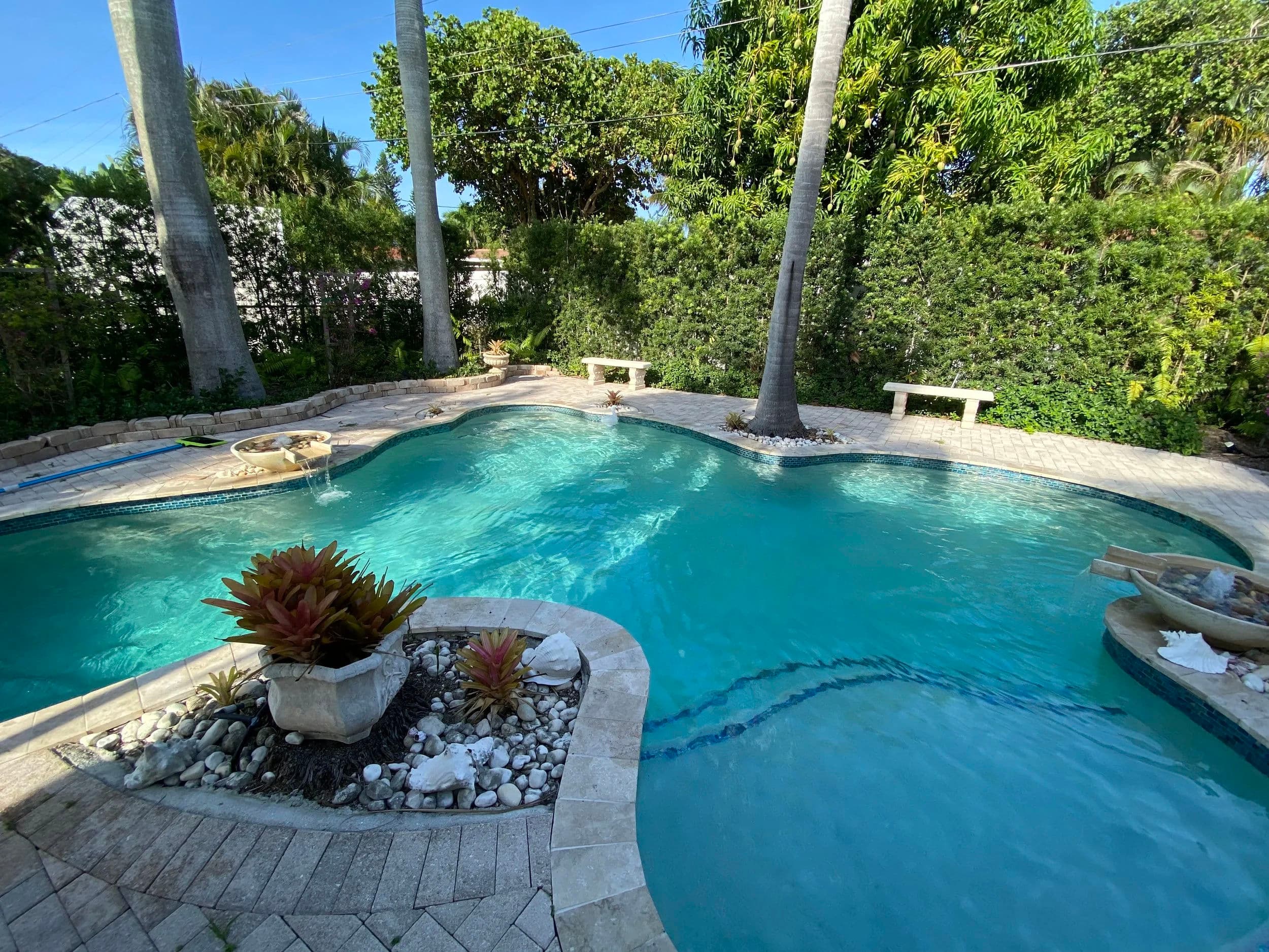Tropical backyard with a swimming pool, palm trees, and lush greenery. Relaxing atmosphere.