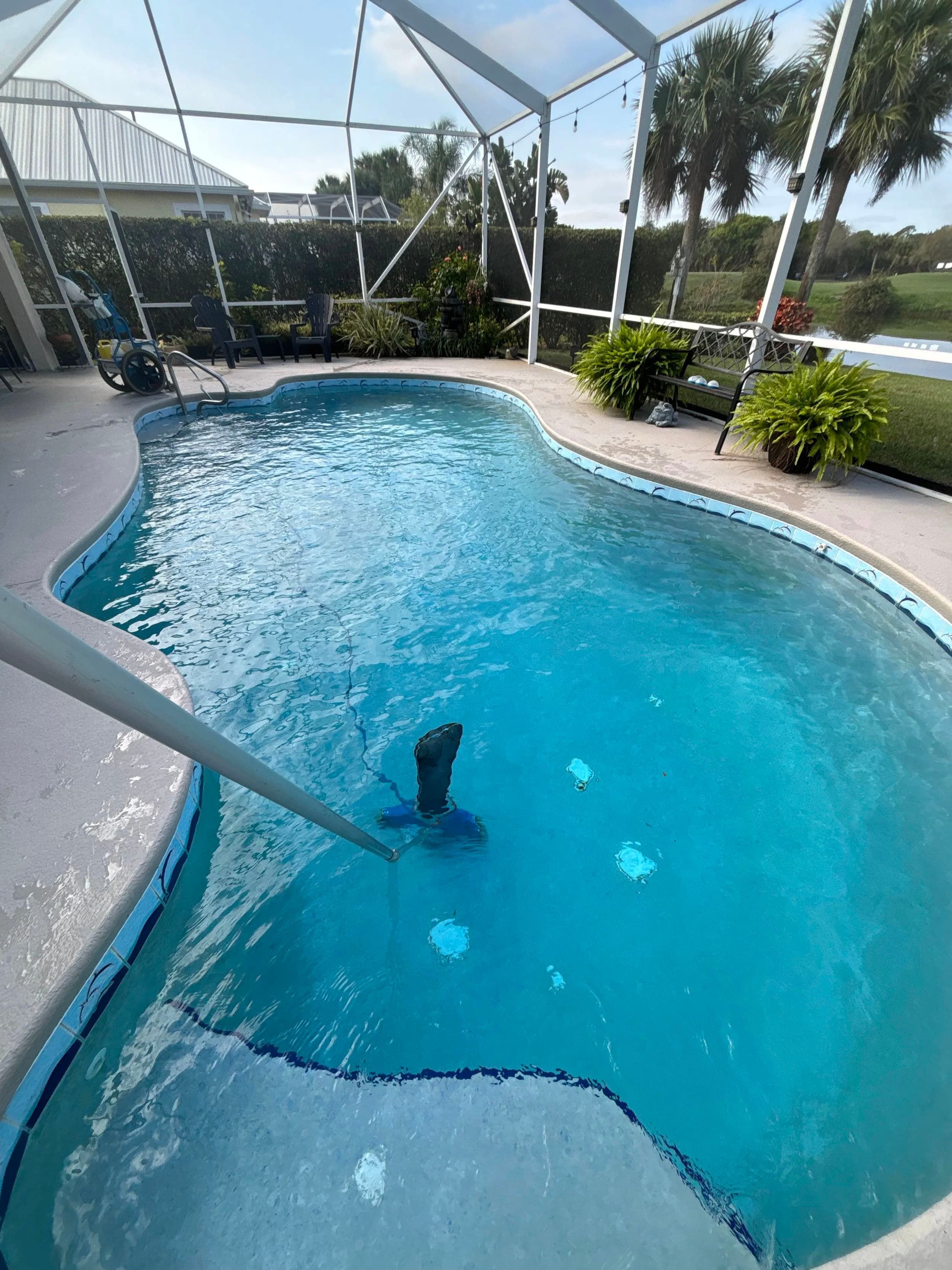 Clean swimming pool with a pool cleaner, surrounded by lush greenery and a sunny sky.